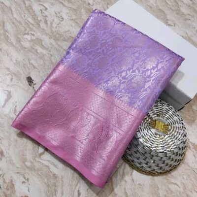 Banarasi Weaves Jaal Ambos Saree