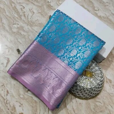 Banarasi Weaves Jaal Ambos Saree