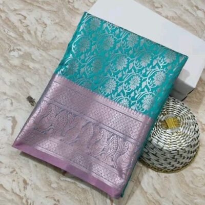 Banarasi Weaves Jaal Ambos Saree