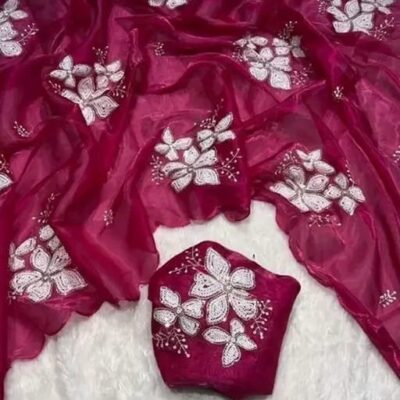 Lavanya Organza Saree