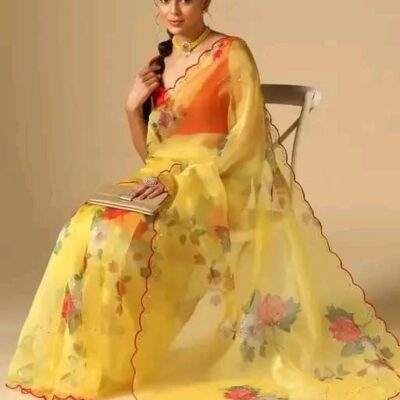 Floret Organza Saree
