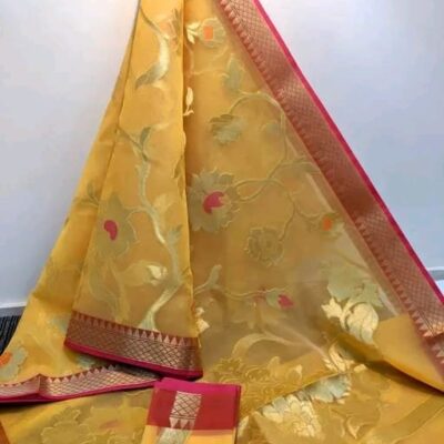 Zarika Weaves Organza Saree