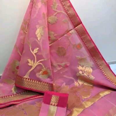 Zarika Weaves Organza Saree