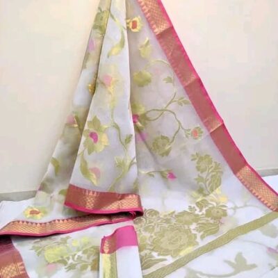 Zarika Weaves Organza Saree
